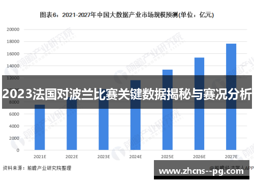 2023法国对波兰比赛关键数据揭秘与赛况分析