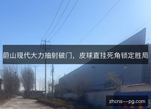 蔚山现代大力抽射破门,皮球直挂死角锁定胜局 蔚山现代大力抽射破门,皮球直挂死角锁定胜局